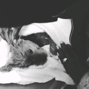 Meet your Posher, Robin